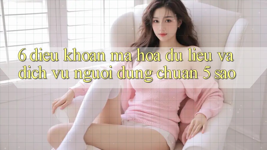 6. Điều khoản Mã hóa dữ liệu Và Dịch Vụ Người dùng Chuẩn 5 Sao 6. Điều khoản Mã hóa dữ liệu Và Dịch Vụ Người dùng Chuẩn 5 Sao