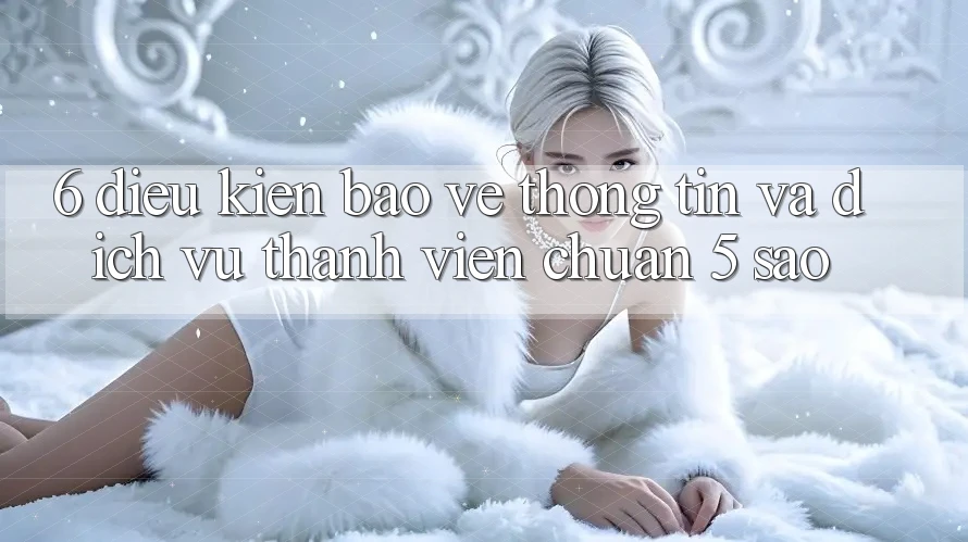 6. Điều kiện Bảo vệ thông tin Và Dịch Vụ Thành viên Chuẩn 5 Sao