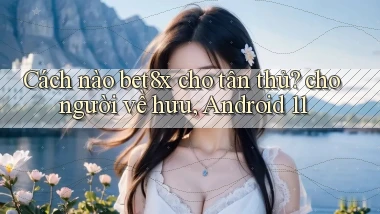 Cách nào bet8x cho tân thủ cho người về hưu, Android 11
