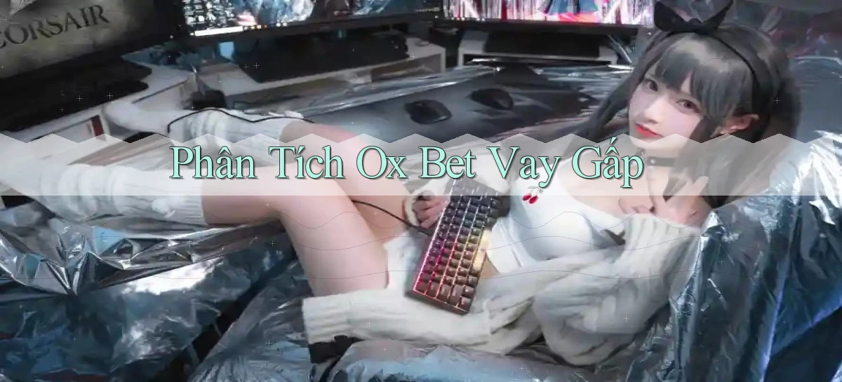 phân tích ox bet vay gấp